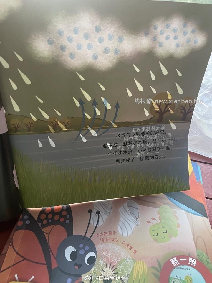 乐乐趣莉莉兰小虫虫手电筒绘本5本 19.9元 - 线报酷