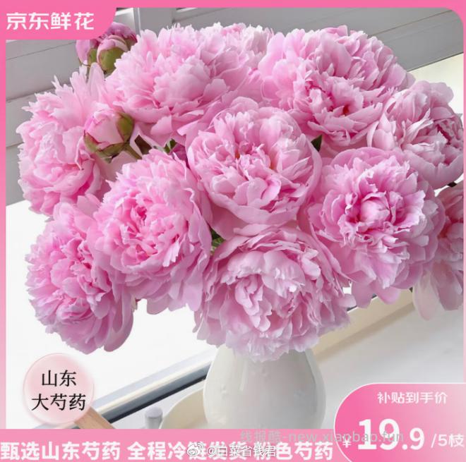 19.9 ToSpring 山东特A级重瓣芍药粉色5枝 包邮活动的 - 线报酷