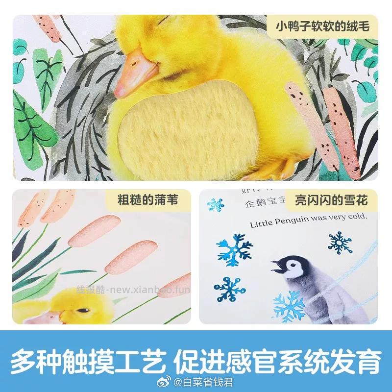 乐乐趣幼儿触摸书拍2件 34.9元 - 线报酷
