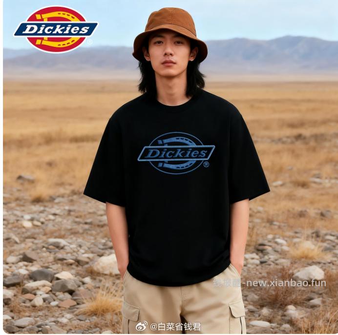 Dickies美式短袖T恤 87元 - 线报酷