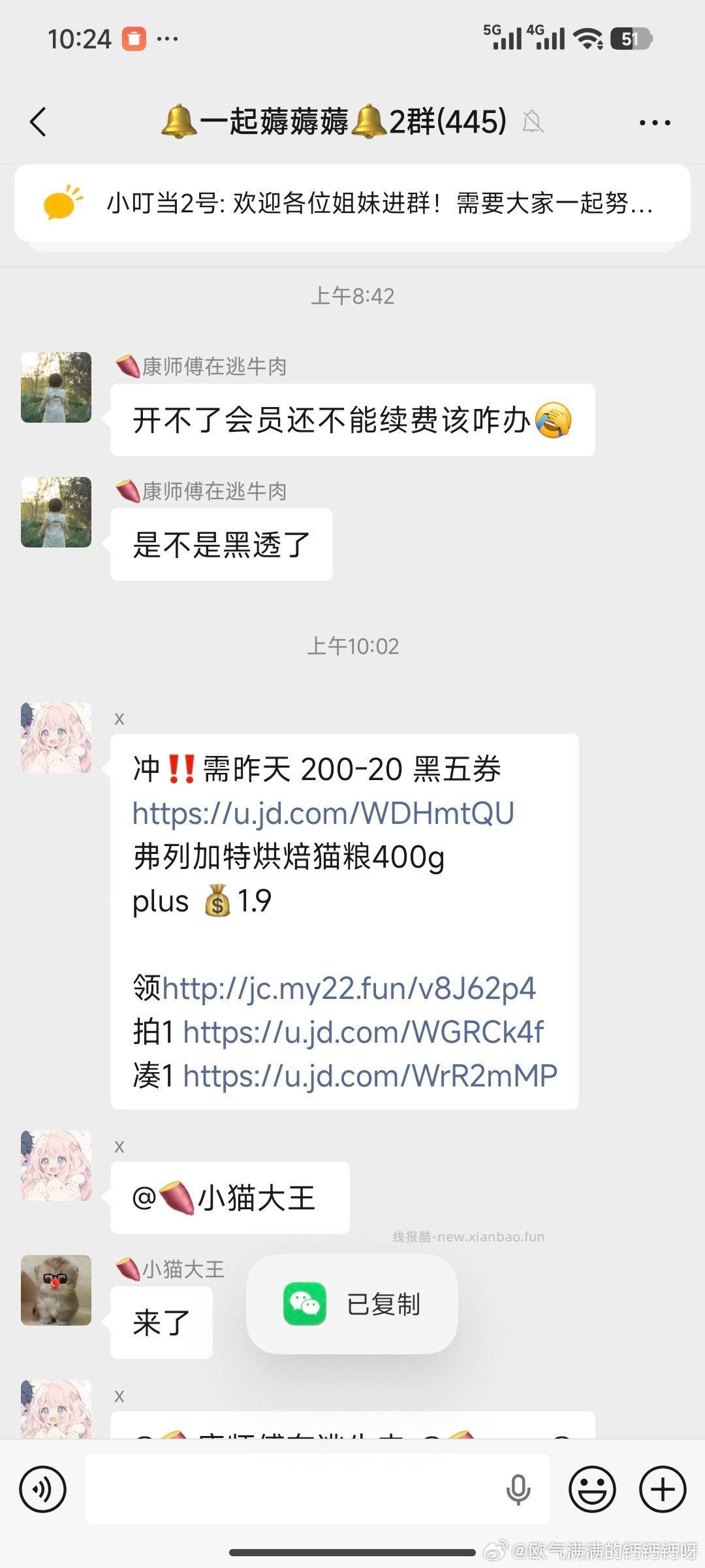 猫粮400g2r自己转f - 线报酷