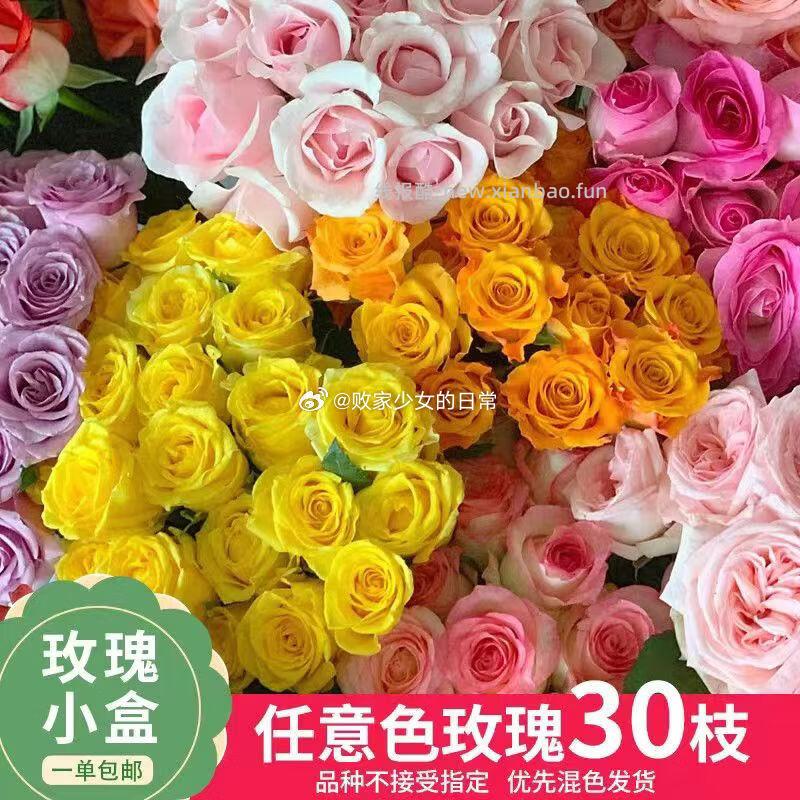 与花同行 1️⃣10枝盲盒玫瑰 领10劵 到手11.99 - 线报酷