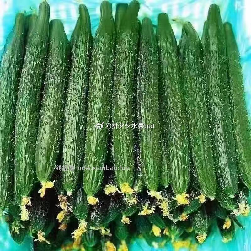 刺黄瓜5斤带箱 10.9元 - 线报酷