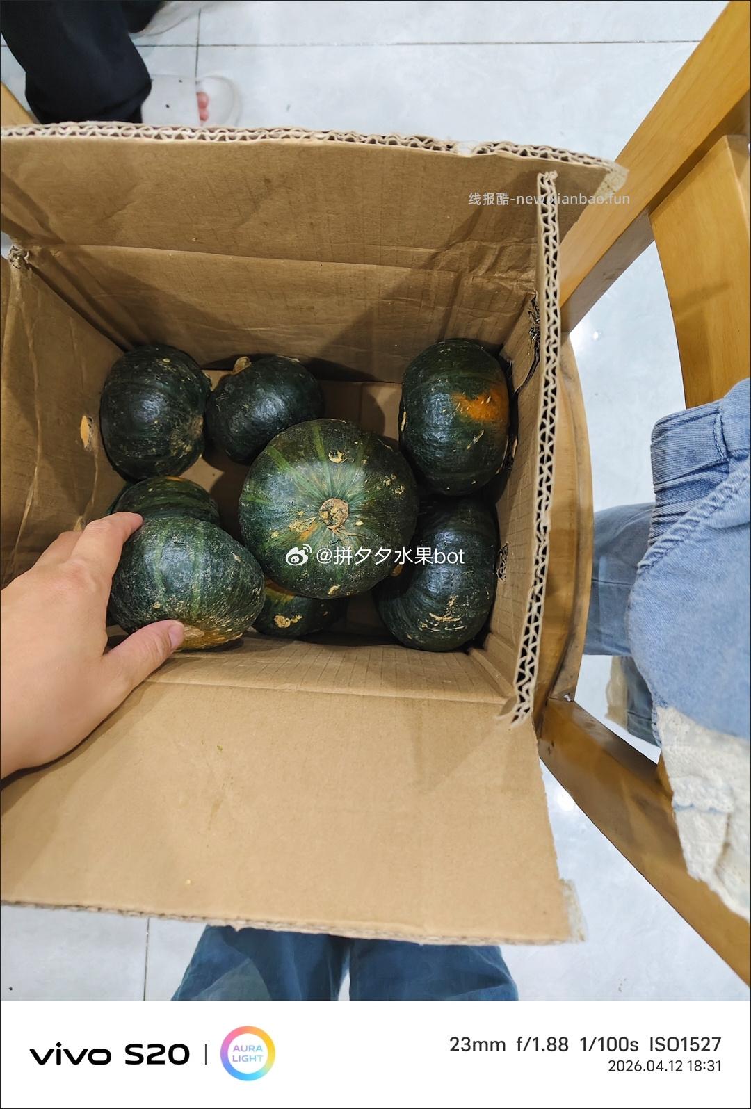 贝贝南瓜5斤带箱 8.9元 - 线报酷