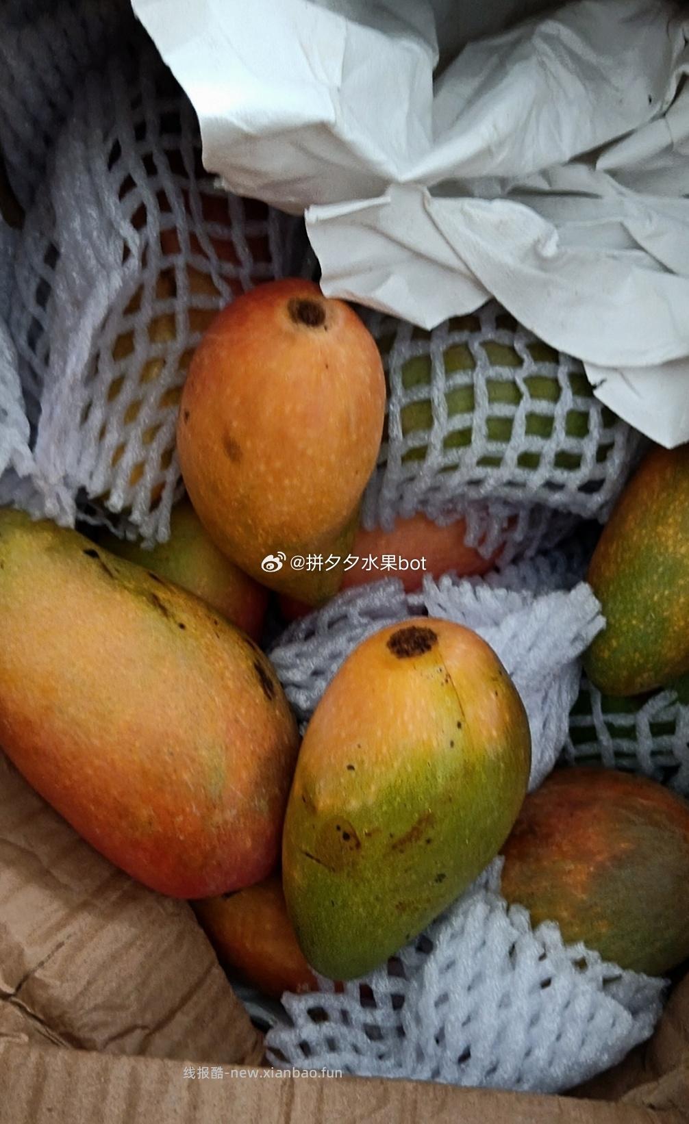 贵妃芒果 带箱5-6斤 11.8元 - 线报酷