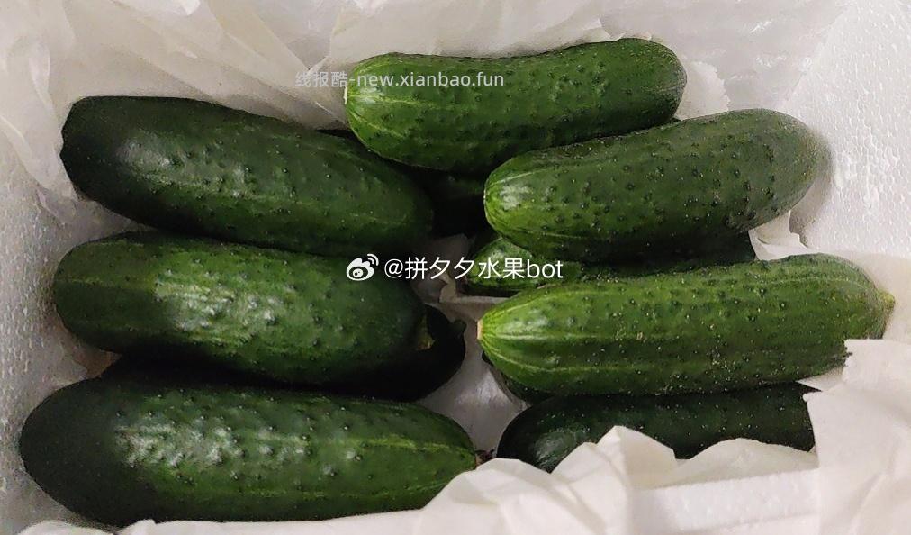 玛莎小黄瓜净重4.5斤 12.9元 - 线报酷
