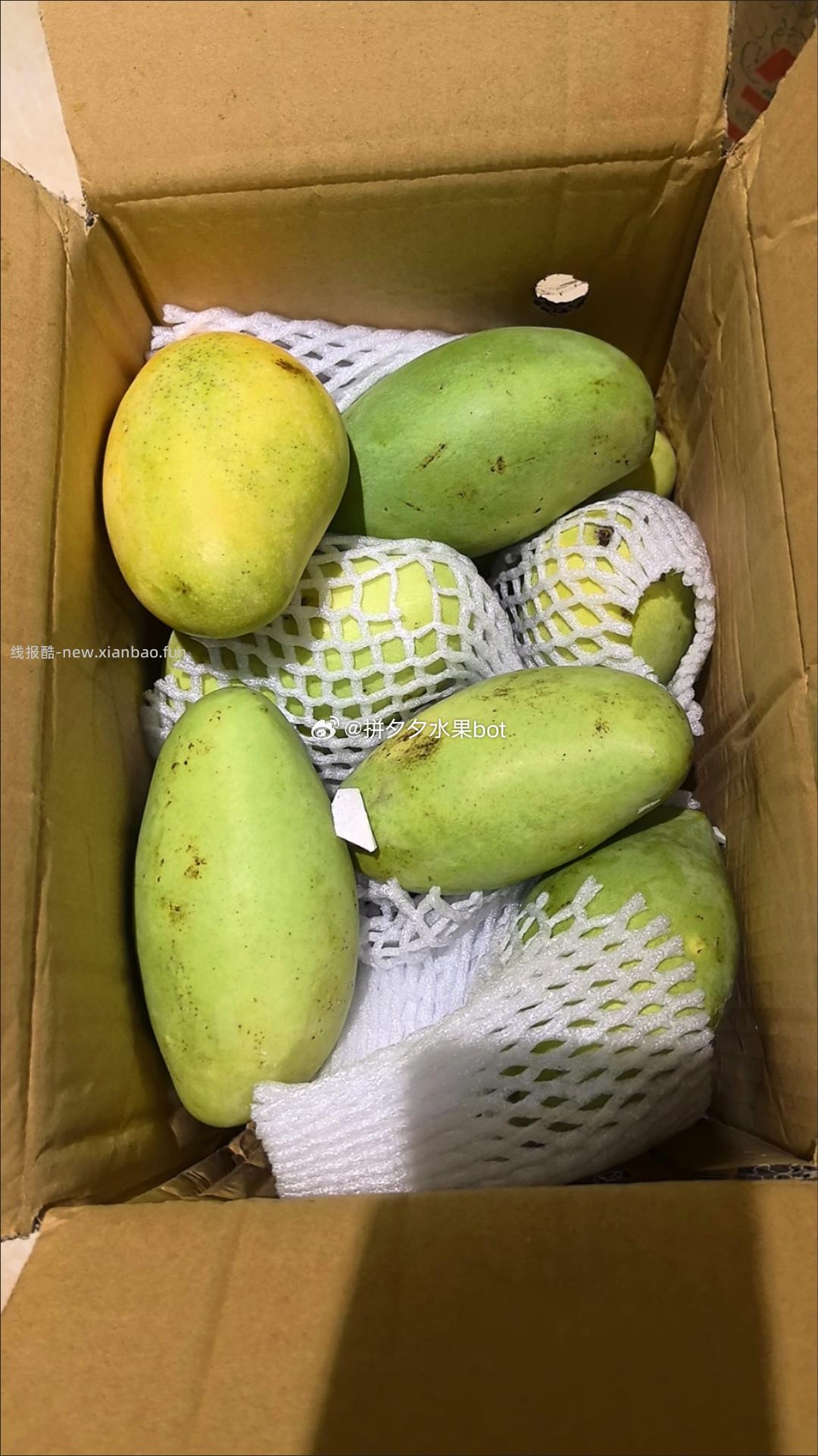 金煌芒9-10斤带箱 25.7元 - 线报酷