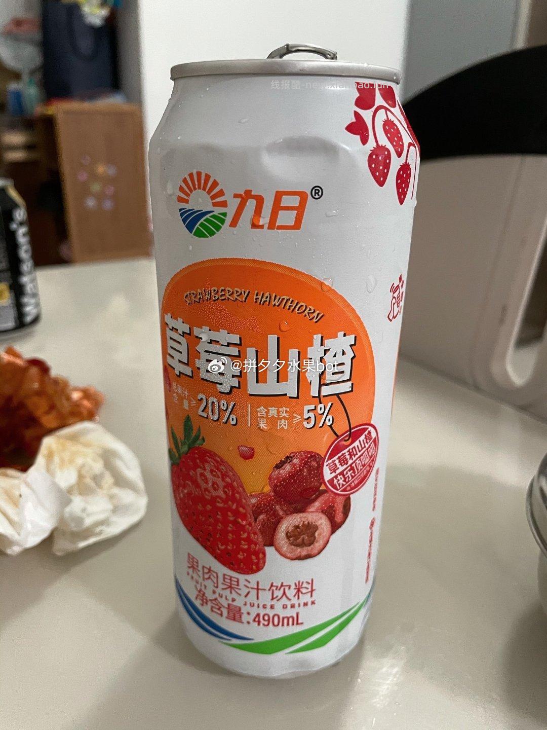 九日果肉果汁饮料490ml*5瓶 19.9元 - 线报酷