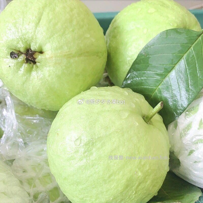 白心芭乐5斤带箱 14元 - 线报酷