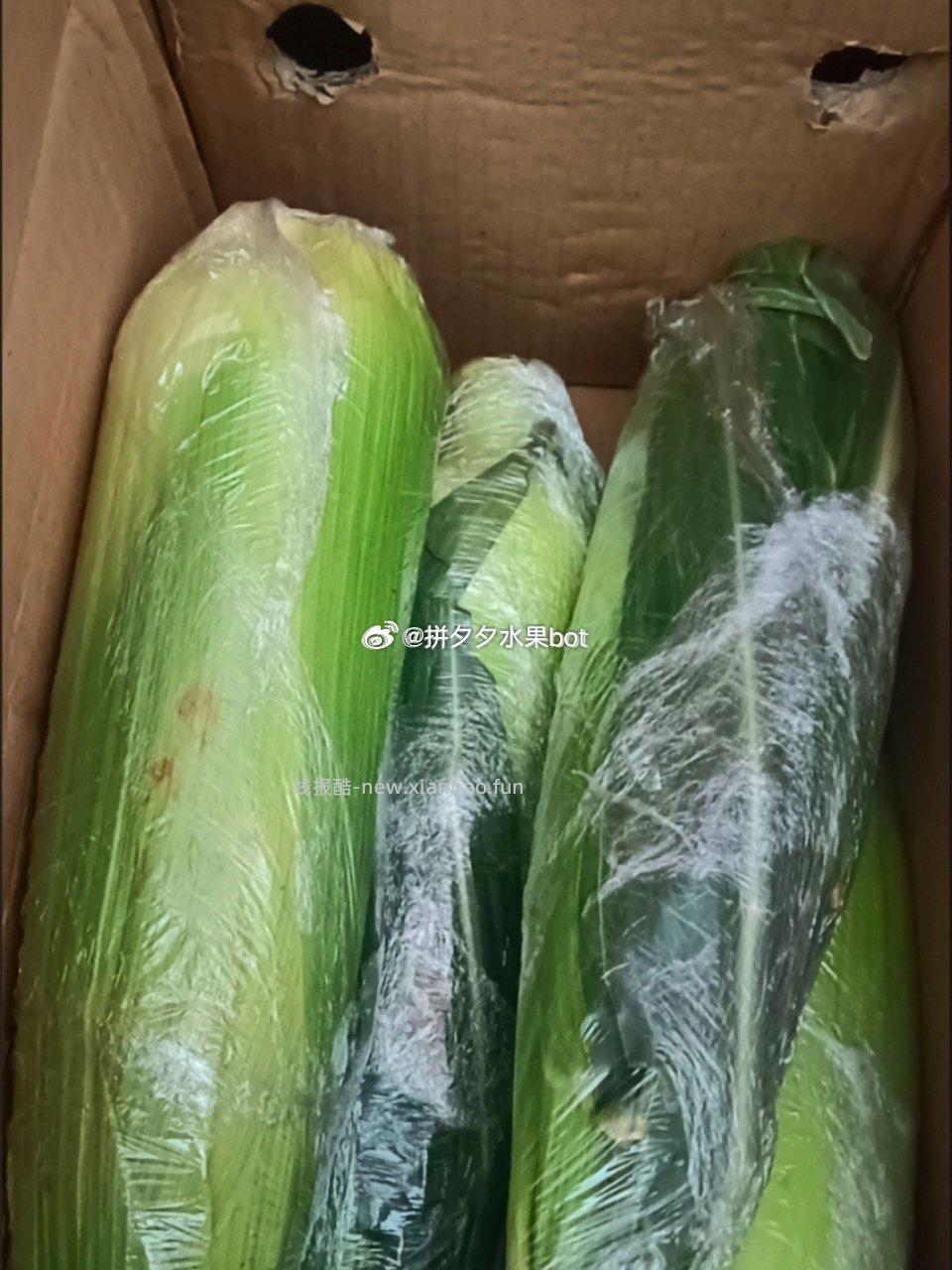 水果玉米9斤带箱 19元 - 线报酷