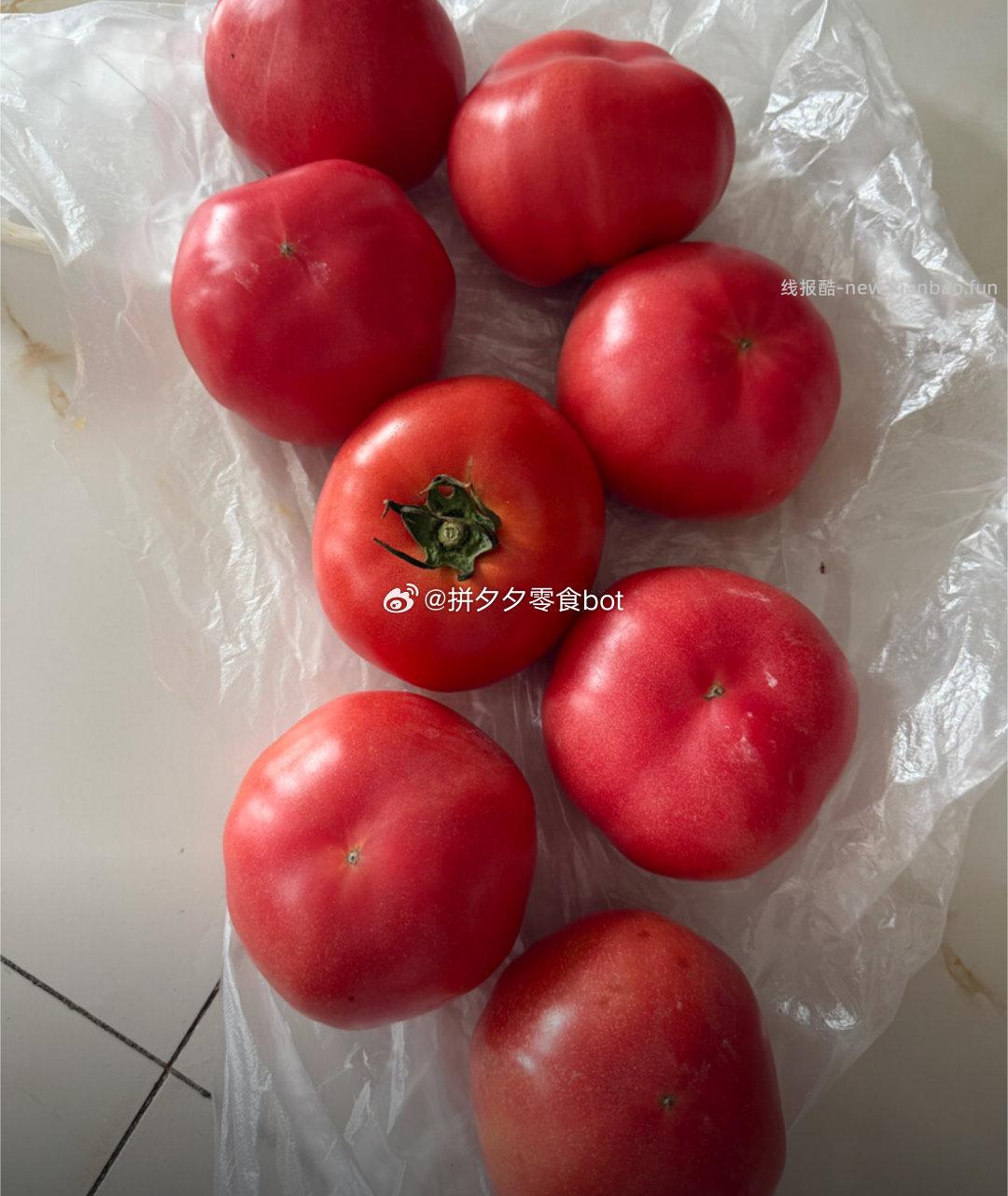 京鲜生普罗旺斯番茄净重4.5斤 17.9元 - 线报酷