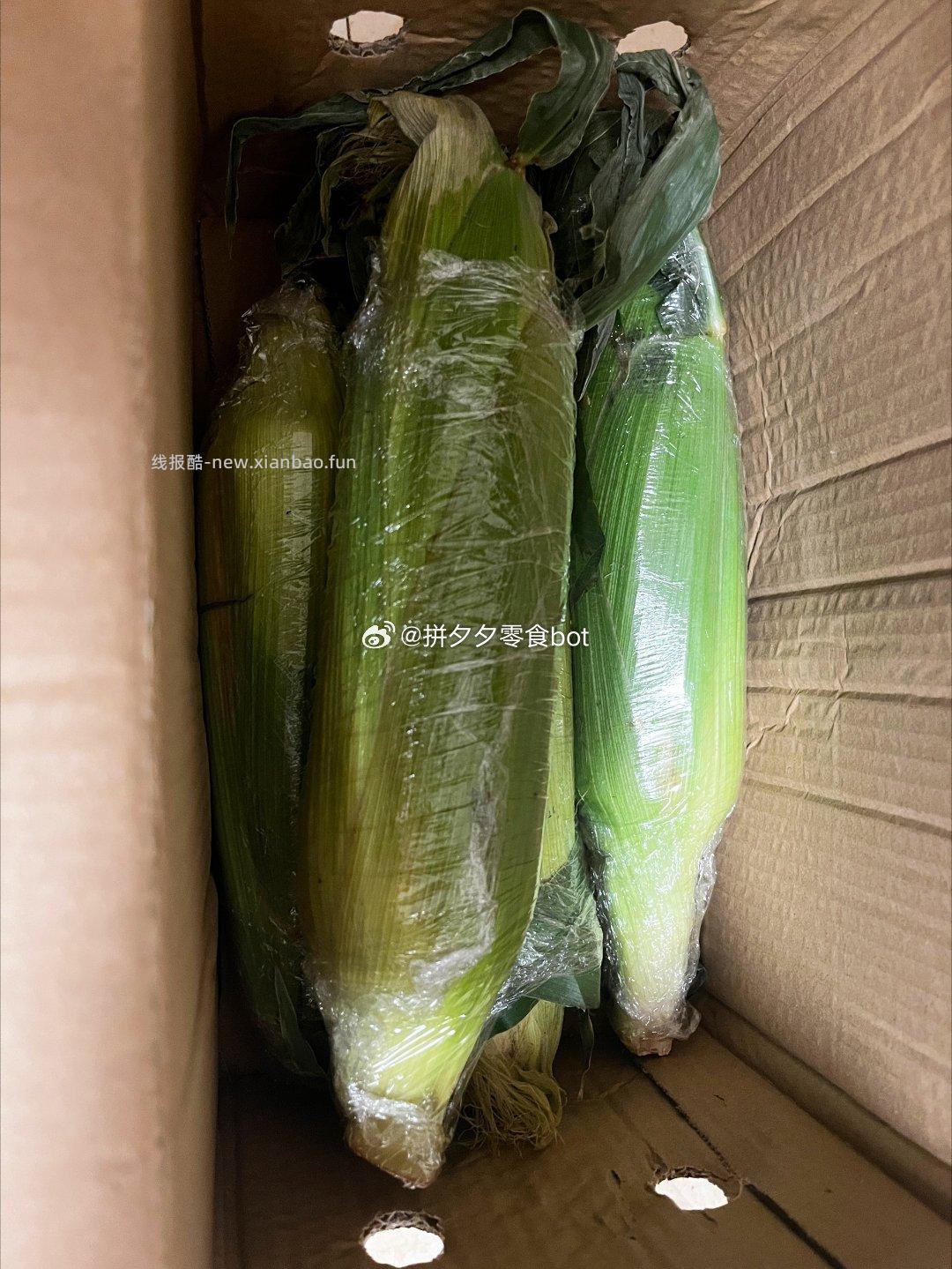 水果玉米5斤带箱 9.9元 - 线报酷