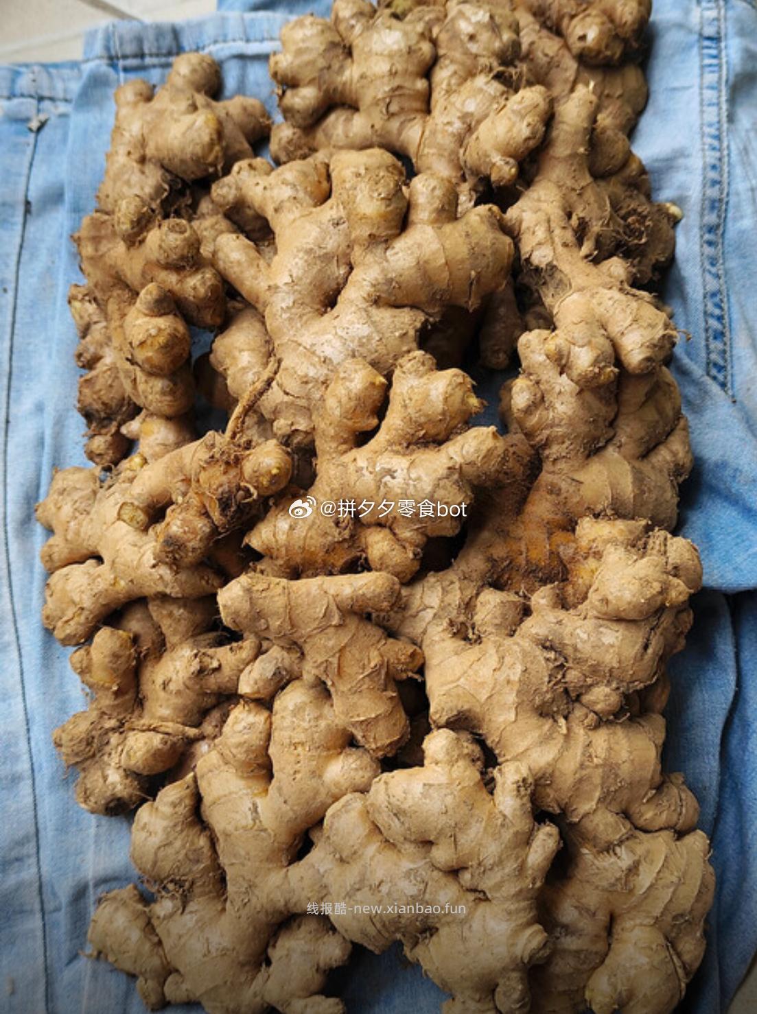 宝菜 云南小黄姜 净重5斤 12.8元 - 线报酷