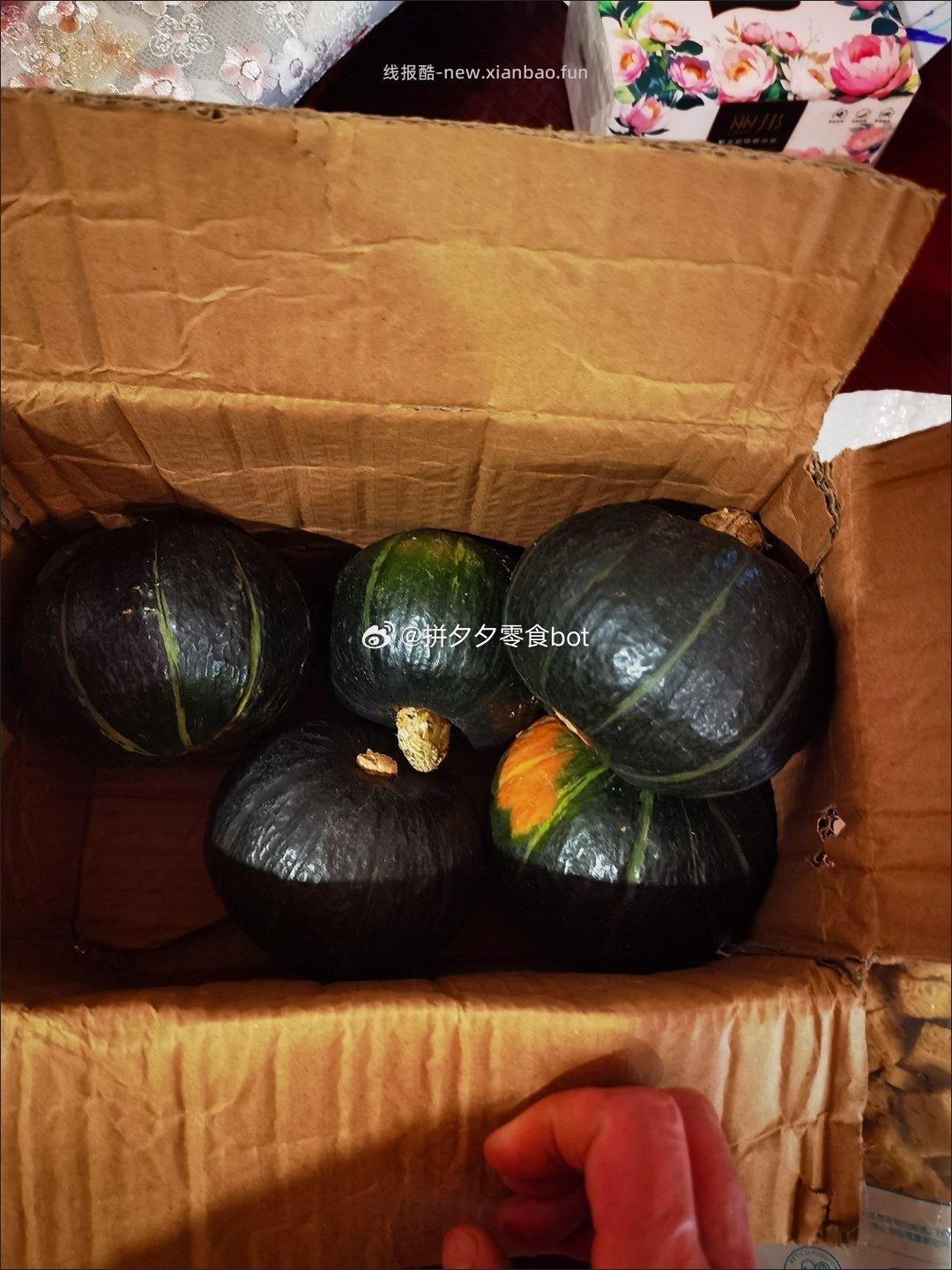 贝贝南瓜 9斤 18.9元 - 线报酷