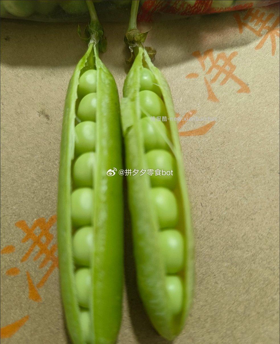 豌豆荚净重5斤 11.8元 - 线报酷