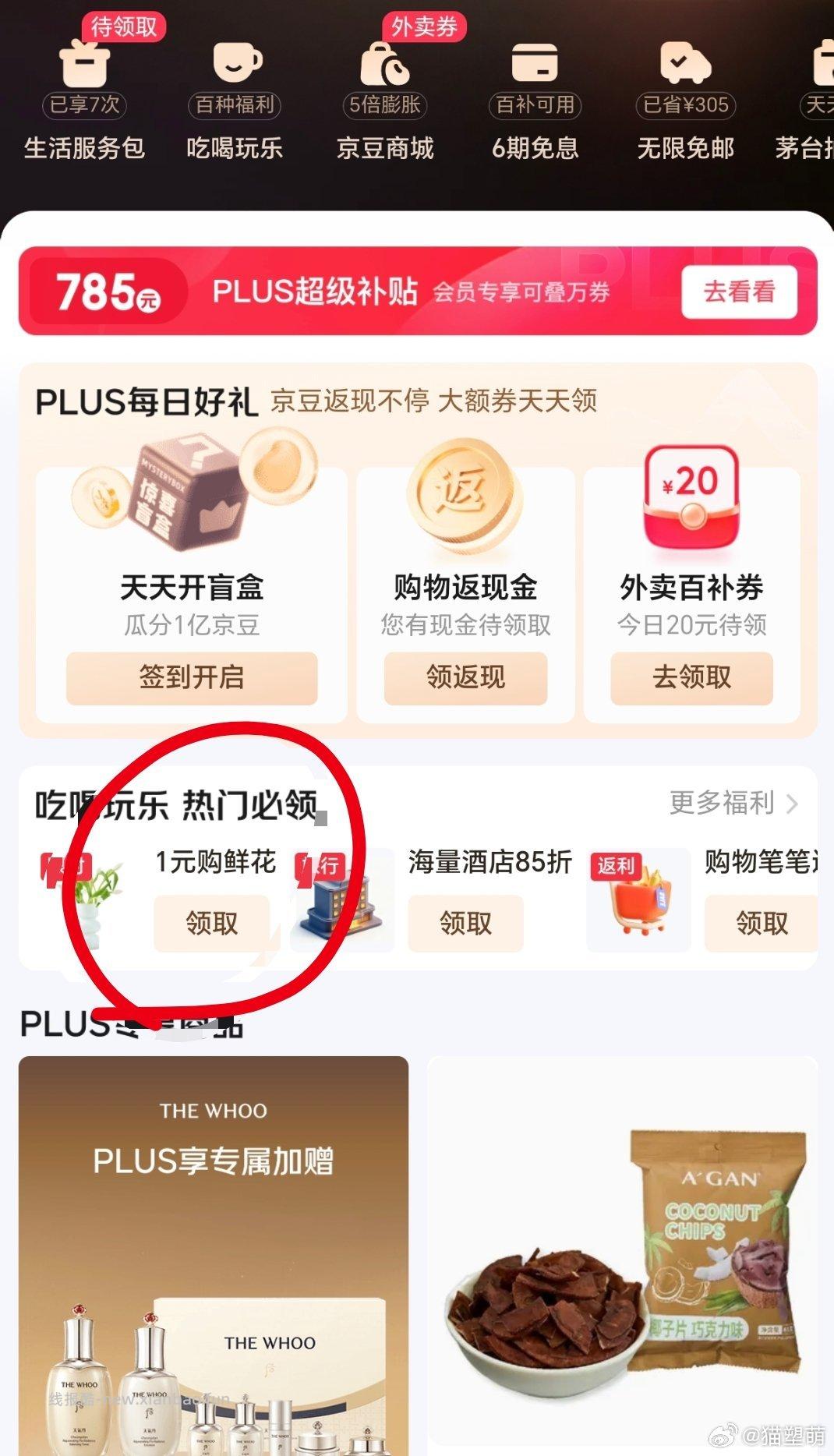 狗东plus会员1r买一束郁金香 - 线报酷