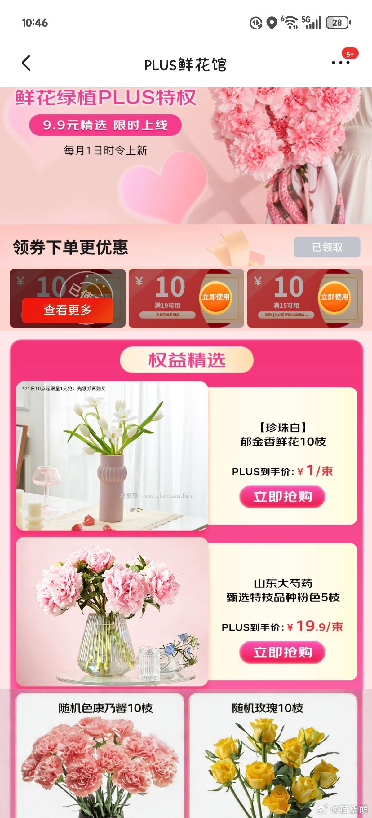 狗东plus会员1r买一束郁金香 - 线报酷