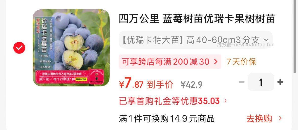 商品砸落或领奍中心有99-50绿植奍 四万公里 蓝莓树苗优瑞卡果树树苗 - 线报酷