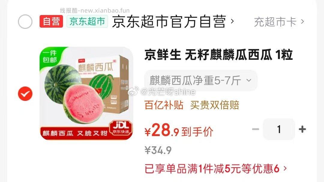 领99-40 无籽麒麟瓜西瓜 1粒装 单果5-7斤 28.9 - 线报酷