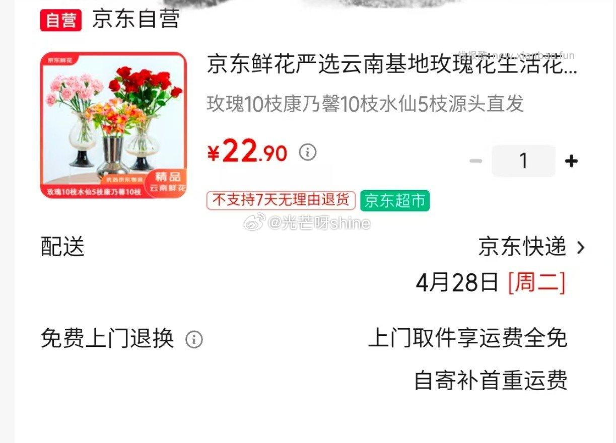 京东鲜花橘子汽水夏日花束玫瑰向日葵鲜花花束 21.9元 - 线报酷