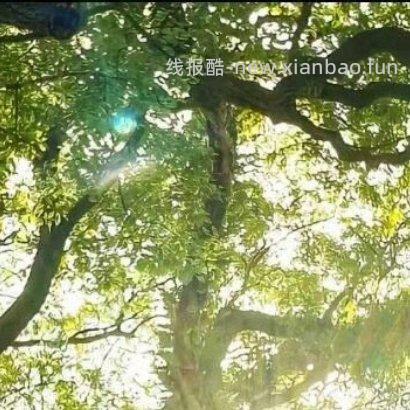 ✨ ✨ 人生路上 遇见善良 学会付出 遇见微笑 学会分享 遇见坎坷 学会勇敢 - 线报酷