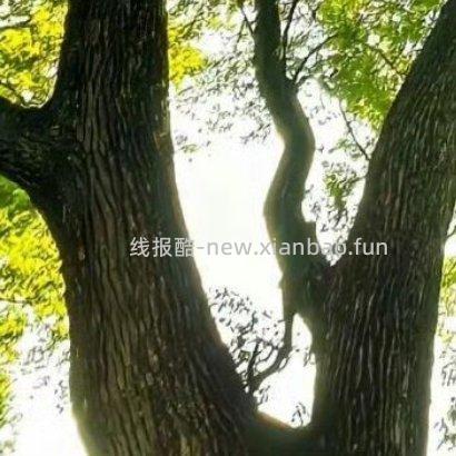 ✨ ✨ 人生路上 遇见善良 学会付出 遇见微笑 学会分享 遇见坎坷 学会勇敢 - 线报酷