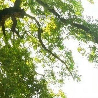 ✨ ✨ 人生路上 遇见善良 学会付出 遇见微笑 学会分享 遇见坎坷 学会勇敢 - 线报酷