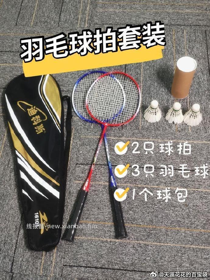 迪科斯羽毛球拍2支+3球+1包 13.91元 - 线报酷