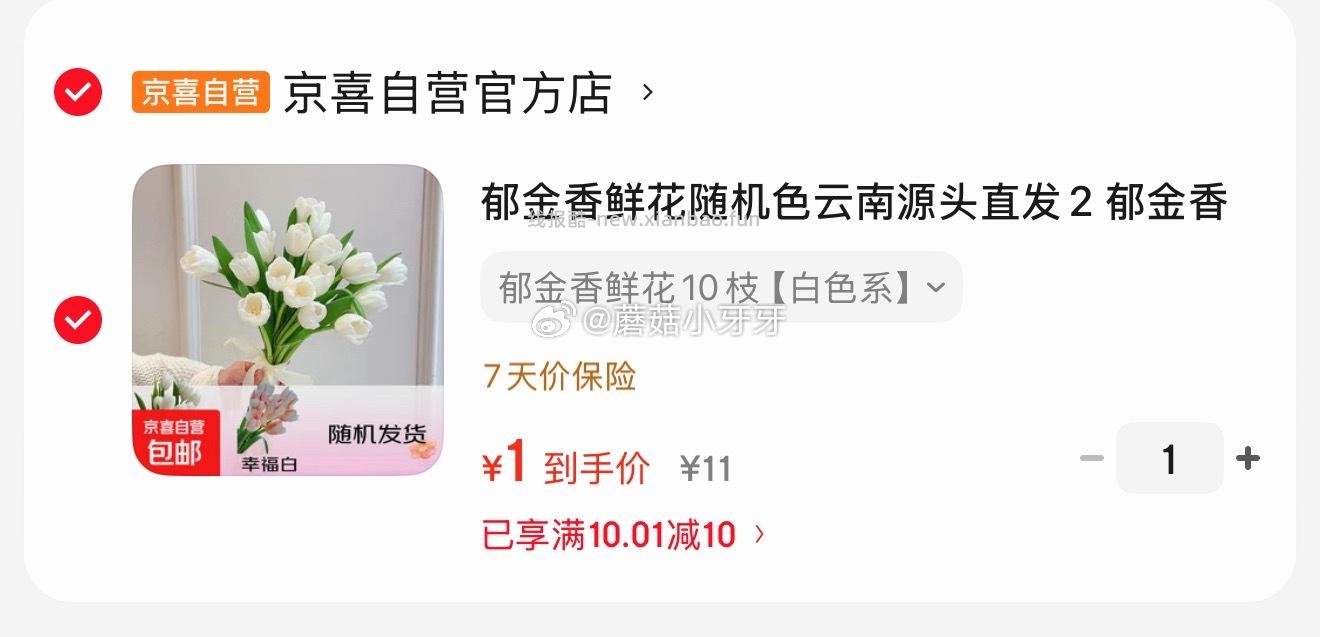 京喜郁金香鲜花随机色10枝 1元 - 线报酷