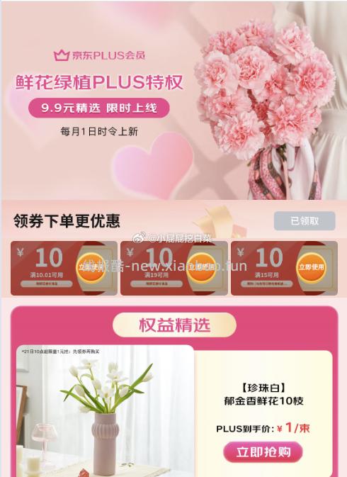 鲜花馆10券 郁金香鲜花10枝 1 - 线报酷