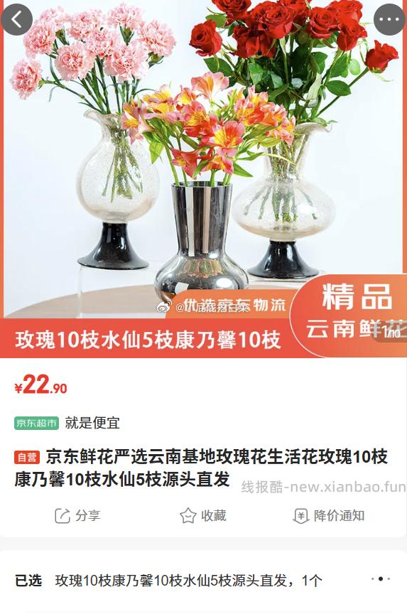 玫瑰10枝康乃馨10枝水仙5枝 22.9元 - 线报酷
