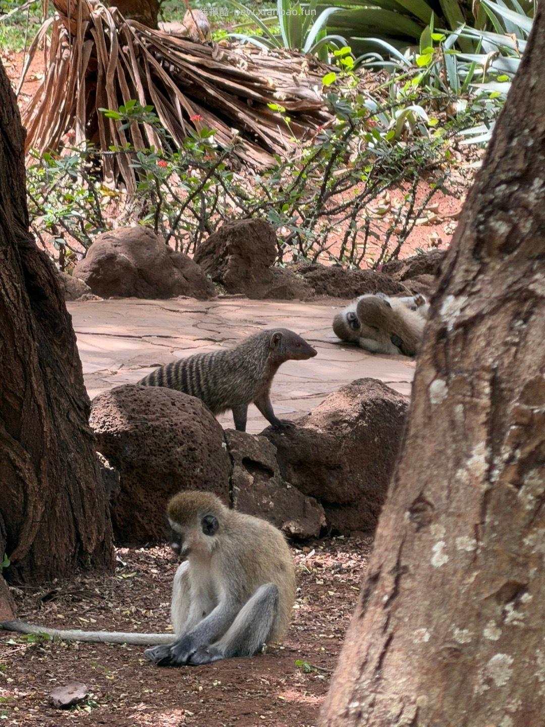 飞行16h 6000km 从北京出发经由阿布扎比 - 线报酷