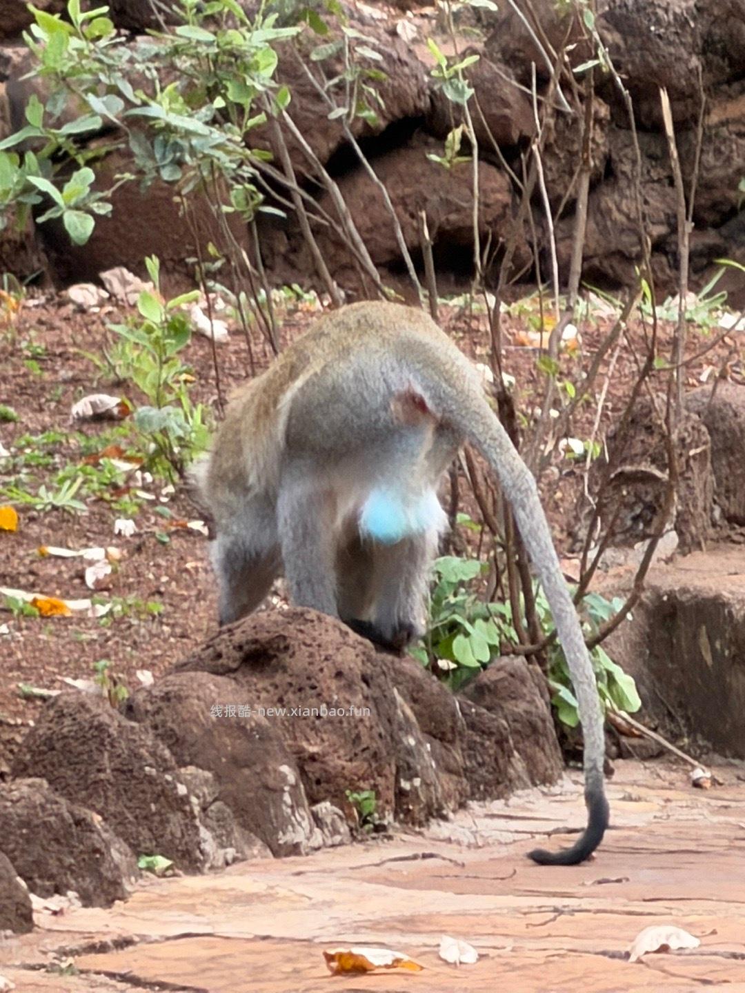 飞行16h 6000km 从北京出发经由阿布扎比 - 线报酷