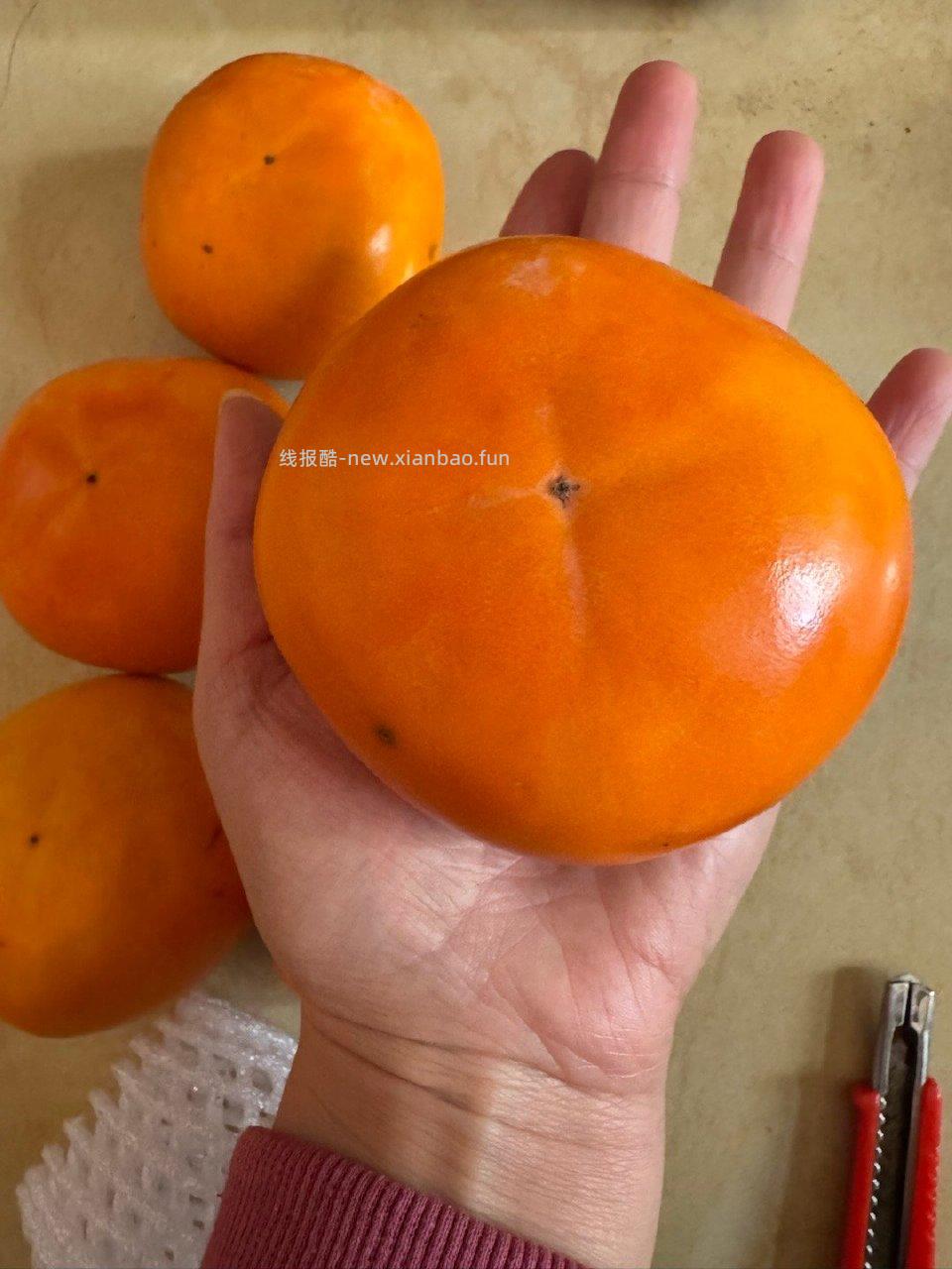 JD五折推荐脆柿品质出乎意料很大个脆甜 - 线报酷