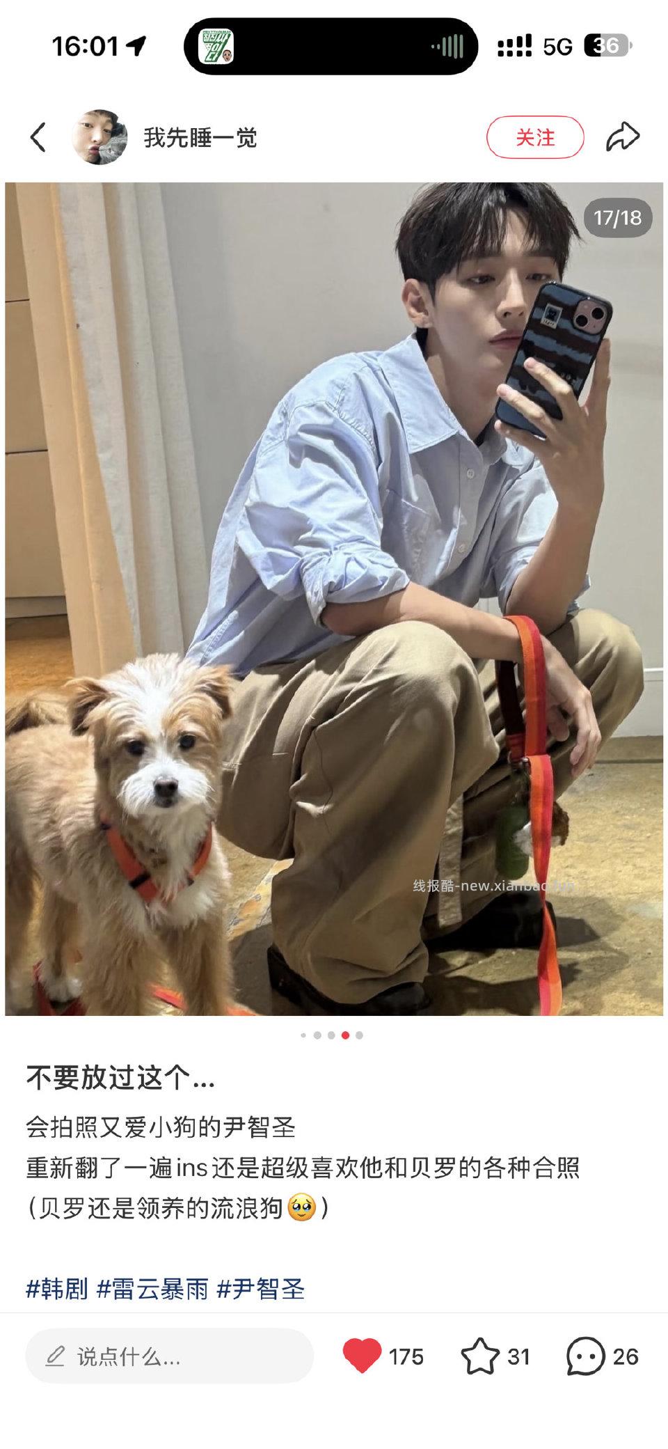 对喜欢小狗狗的人毫无抵抗力 - 线报酷