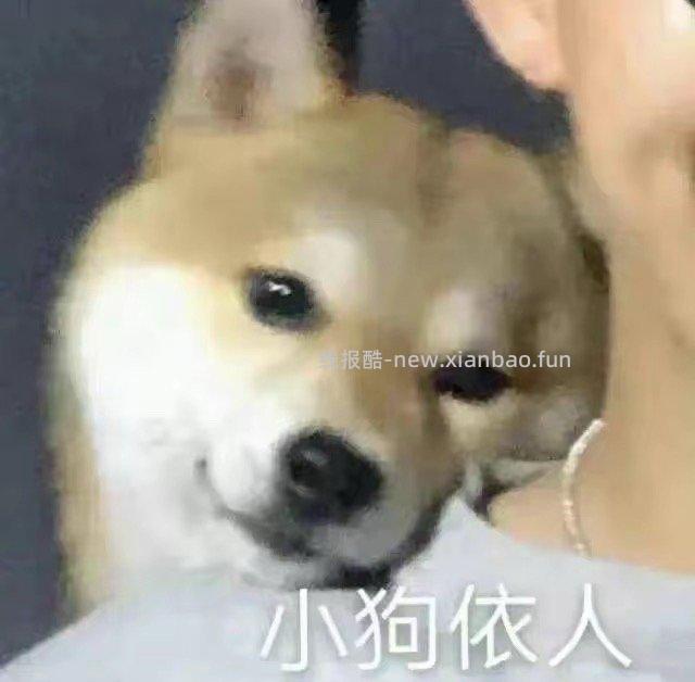 预约八点去然后超红都有加码记得去 - 线报酷