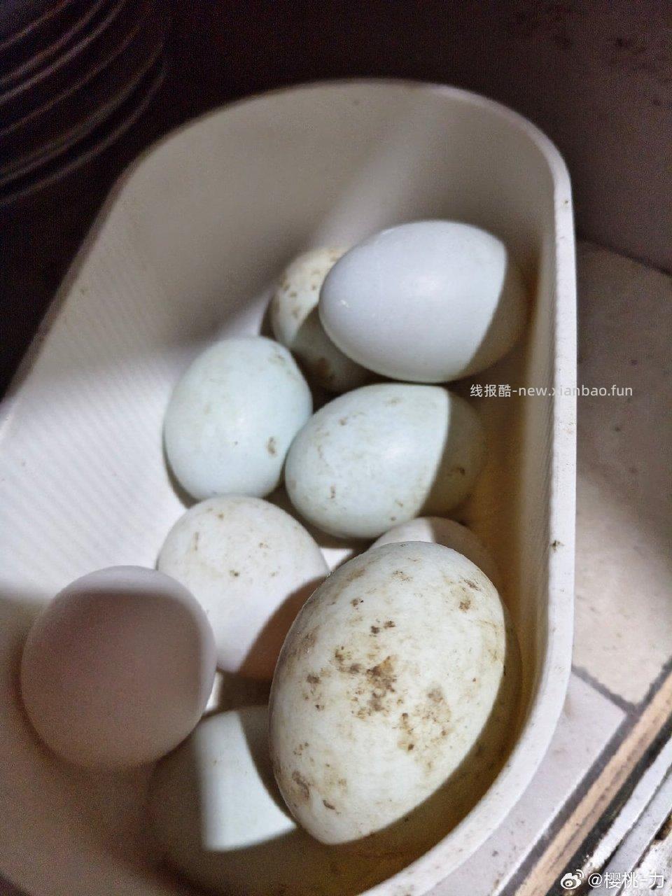 折来买这超级糯叽叽跟娃吃一人一根就很多 - 线报酷