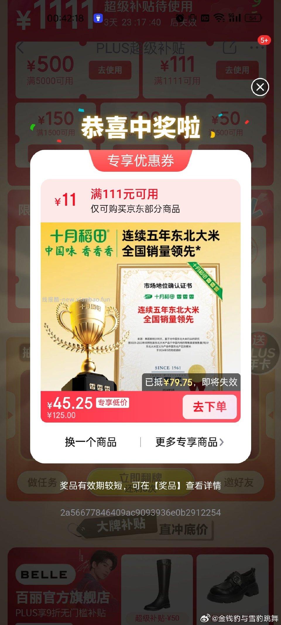 一发中 - 线报酷