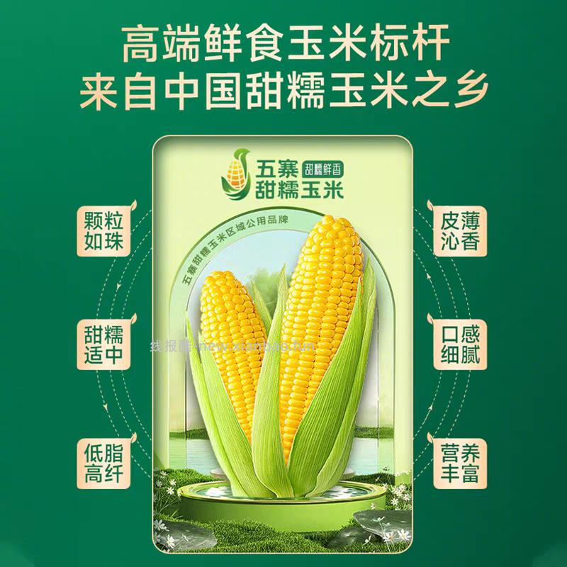 田园知己五寨甜糯玉米段200g*8根 16元 - 线报酷