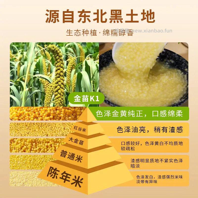 一把锄头 有机黄小米罐装1kg 13元 - 线报酷