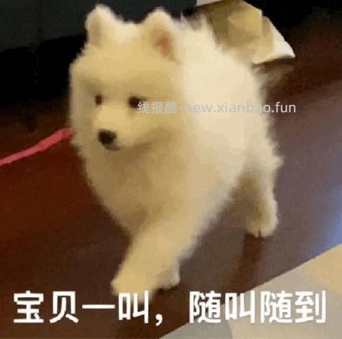 又到月底啦 来查漏补缺 看书 欢迎补充 建行省钱卡 建行1元购 建行广东立减金 - 线报酷