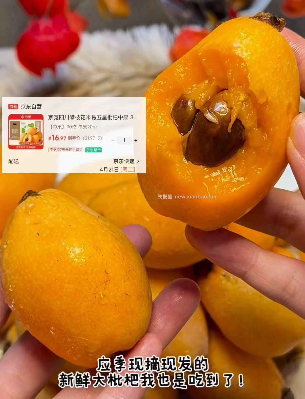 快❗️自营攀枝花枇杷好价 30枚💰16❗️放心冲包售后 - 线报酷