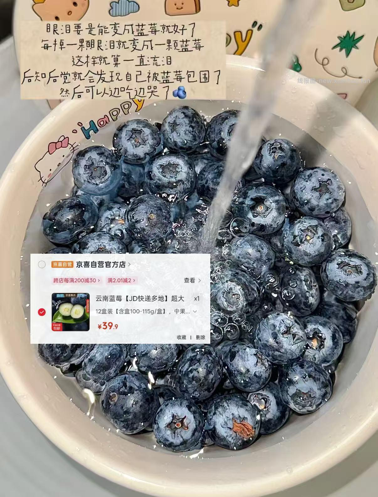 蓝莓洞12盒 39.9元 - 线报酷