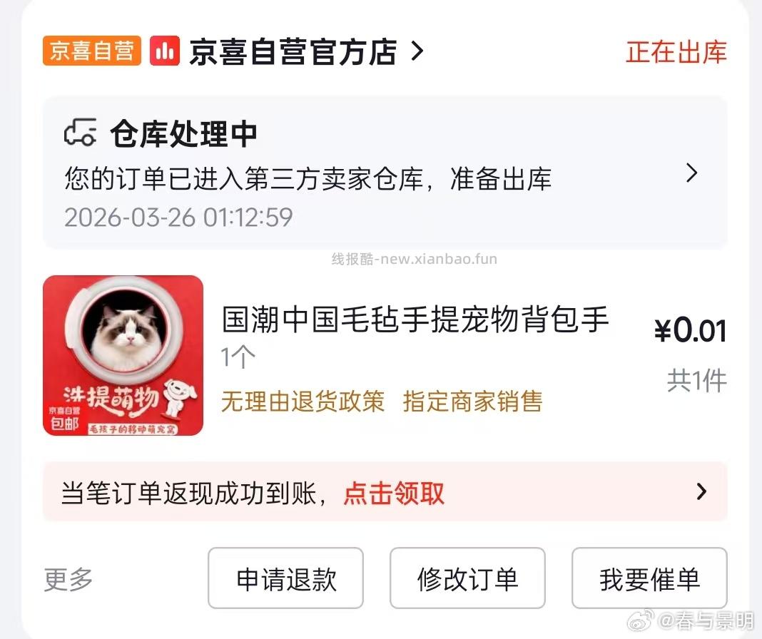 宠物手提袋 在ai拍照那随便拍张小猫 有10个助力拿 如果重复删 - 线报酷