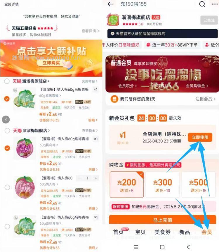 溜溜梅青梅/雪梅等60g 2.6元 - 线报酷