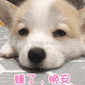 今晚到这里 晚安啦 - 线报酷