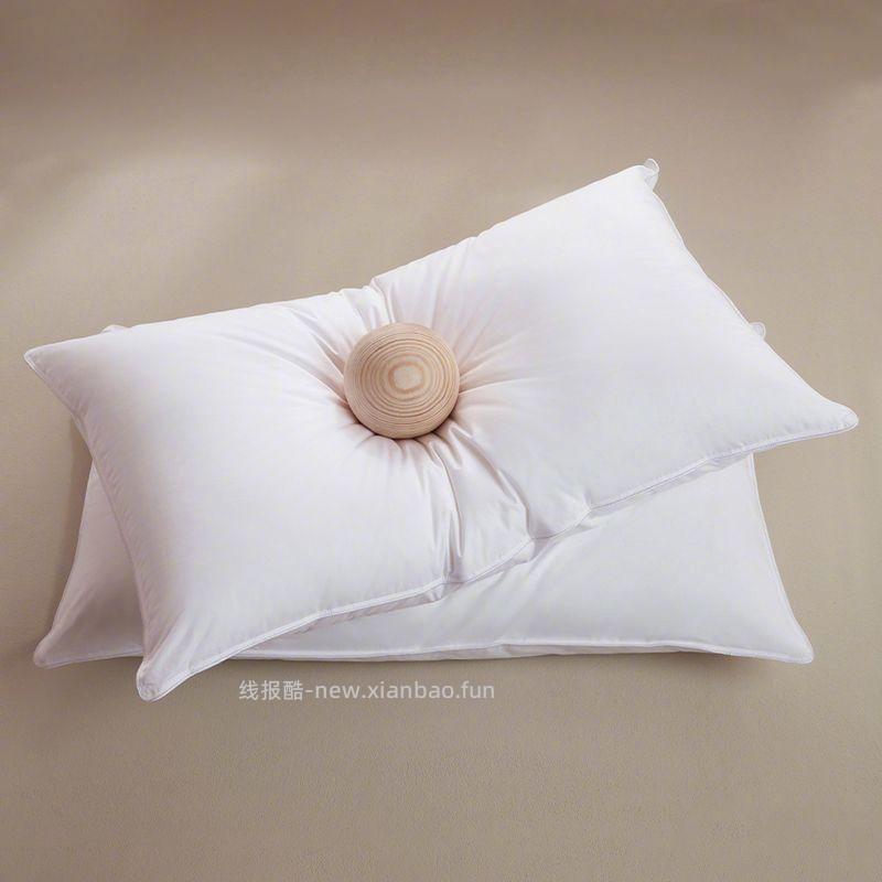 华住会全季酒店羽丝绒单只枕头50*80cm单只装 63元 - 线报酷