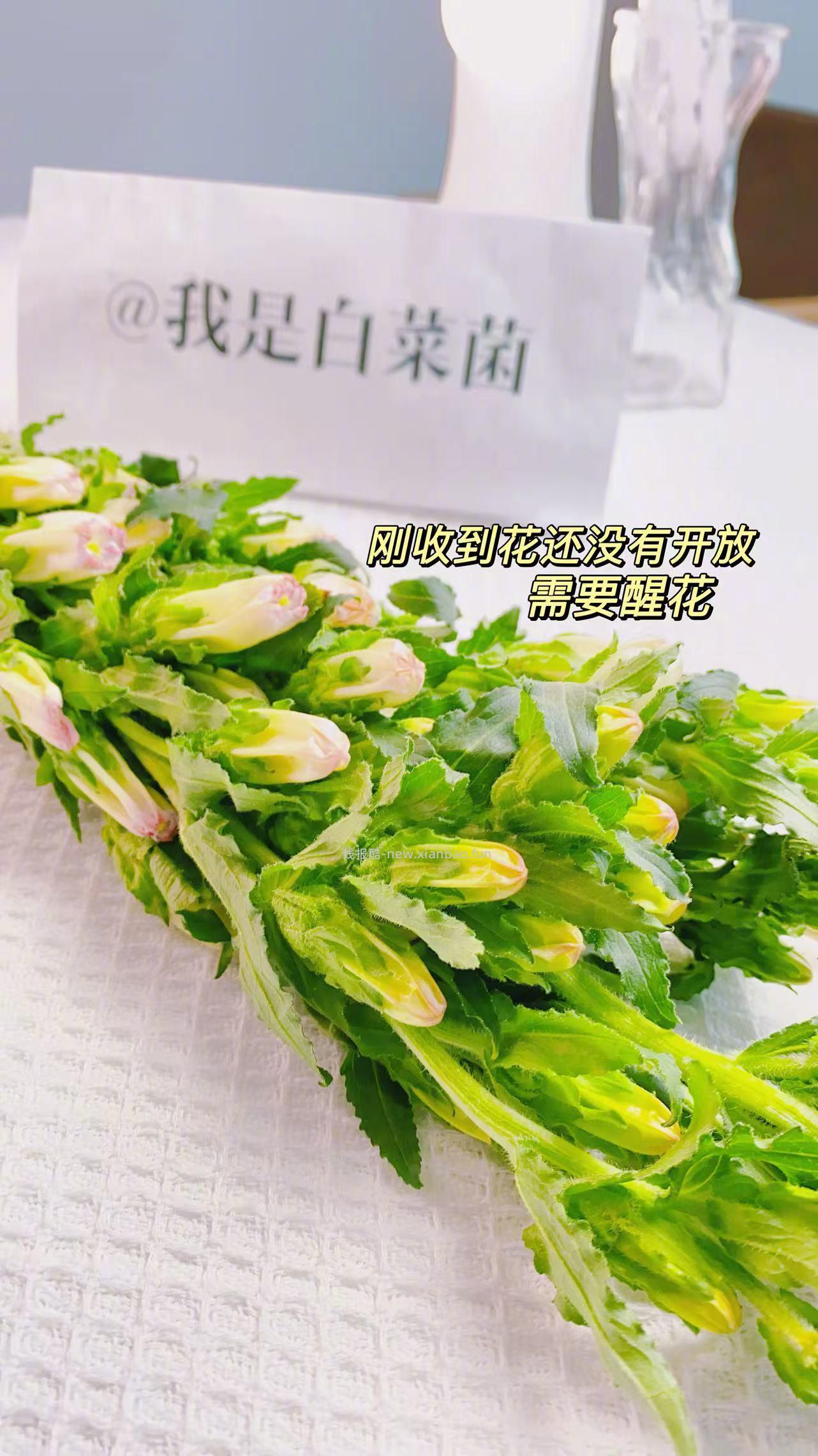 人间四月花🌸 春天满满的花气 满满治愈 爱心 花期超长哈 - 线报酷