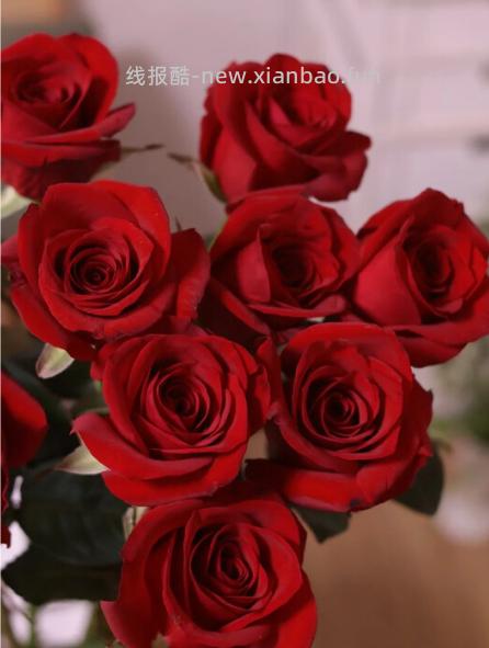 玫瑰 9.99元，玫瑰 17.99元 - 线报酷