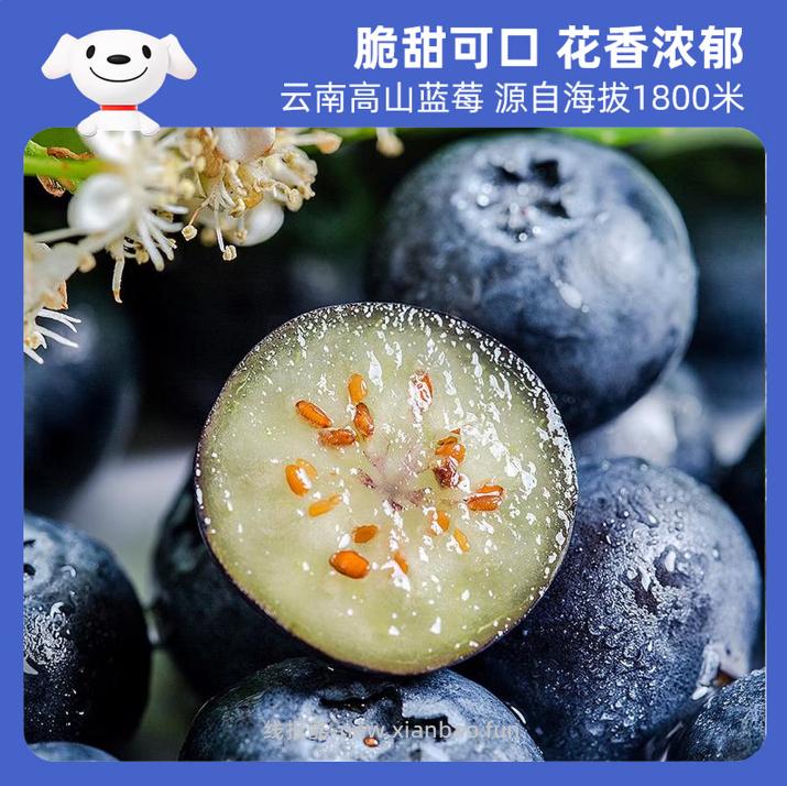 京觅云南高山蓝莓中果125g*12盒 72.9元 - 线报酷
